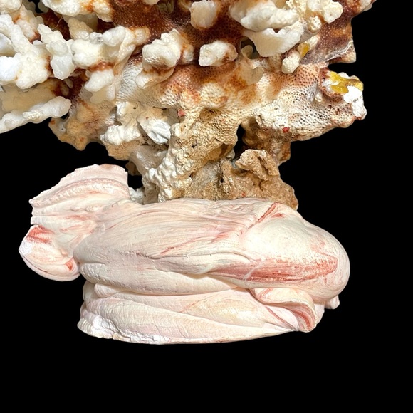 Vintage 1950s Natural Dried Coral Specimen Large Sculpture with Ceramic Base - Picture 7 of 12